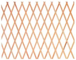 Traliccio Estensibile in Legno Dimensioni 100x200 Cm
