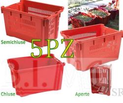 5PZ  Cassetta Agricola RACCOLTA UVA OLIVE FRUTTA VERDURA NOCI