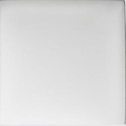 VETRO SPECIALE PER 4033 6.8X7.3CM