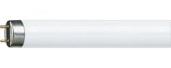 TUBO FLUORESCENTE LINEARE PHILIPS TL-D T8 36W 6500K 1200mm 3350lm