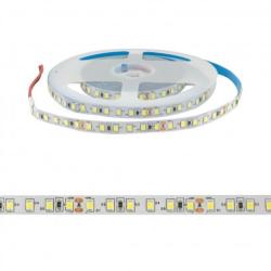 BOBINA LED 5M 12W/MT 12VDC LUCE CALDA 3000K IP65