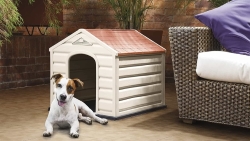 Happy House Cuccia per Cani in Resina PLASTICA Puppy Taglia Media Medium 61X68X58 CM Beige con Tetto Rosso