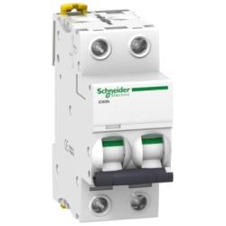 Interruttore automatico miniaturizzato (MCB), Acti9 iC60N, 2P, 3A, curva C, 6.000 A