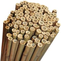 CANNA  bamboo bambù pareti divisorie pali pomodori piante rampicanti h. 210 cm diametro 22-24 