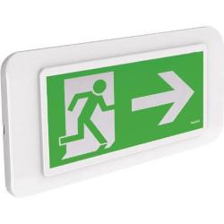 KIT ADESIVI CON FRECCIA SX DX BS