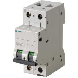 INTERRUTTORE AUTOMATICO MAGNETOTERMICO 2 POLI 2A 6KA 2M CURVA C
