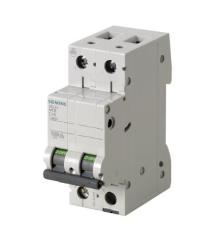 Interruttore Automatico Magnetotermico 2P 10A Curva D 10kA