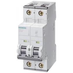 Interruttore magnetotermico 2 poli 10kA 16A curva C