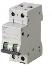 Interruttore Automatico Magnetotermico 2 Poli 2 Moduli 25A 10kA Curva D