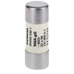 FUSIBILE CILINDRICO 22X58 100A GG