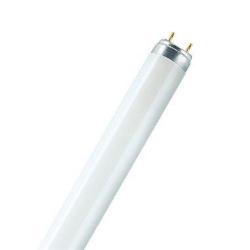 LAMP.FLUO.L36W/67 LUCE BLU