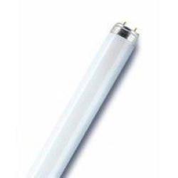 TUBO FLUORESCENTE LINEARE L36W/66 LUCE VERDE