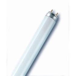 TUBO FLUORESCENTE LINEARE FLUORA L15W/77