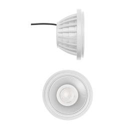 Modulo dotato di LED COB da 20W, temperatura colore bianco caldo e angolo di dispersione di 36°.
