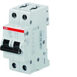 INTERRUTTORE MAGNETOTERMICO 2P 16A 6K 2M CURVA C