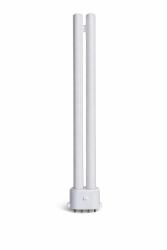LAMPADINA DULUXSE 2421 24W CORTA