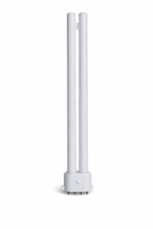 LAMPADINA DULUXSE 2421 24W CORTA