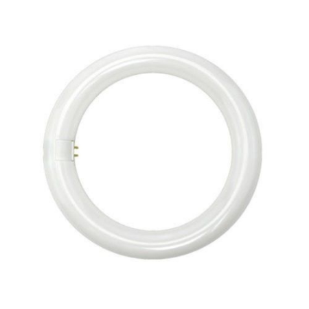 LAMPADA CIRCOLINA LED 14W 6500K G10Q 180° 215x30mm